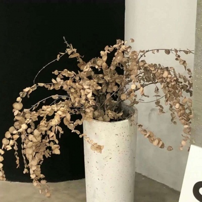 Furry绘画动态灵感兽圈社群